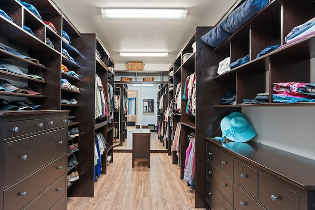 2051 E Oak Shores Dr, Cross Roads, TX 76227 - spacious closet featuring light wood-style flooring