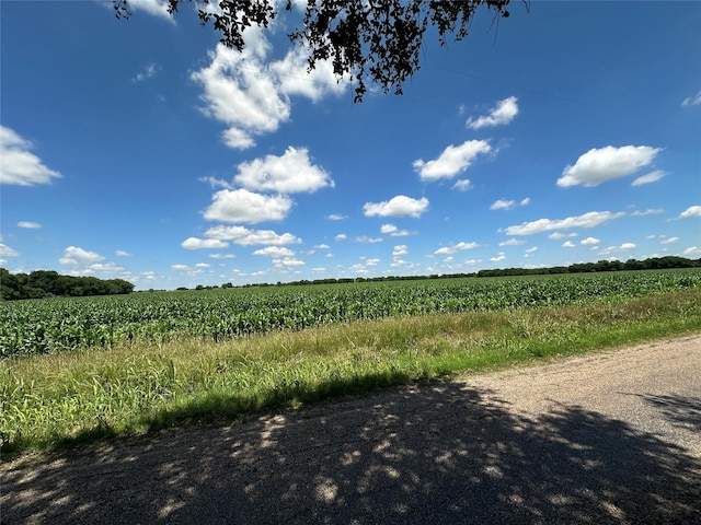 11240 County Road 102, Grandview, TX 76050 - view of local wilderness with extensive farmland and rural landscape