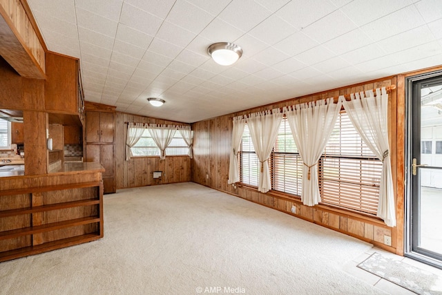 2302 13th, Brownwood, TX 76801 - unfurnished living room featuring carpet floors and wooden walls