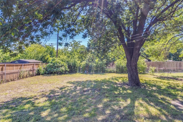 4312 Ridgedale Dr, Mesquite, TX 75150 - view of yard