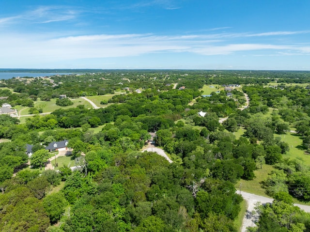 21070 Trailwood Dr, Whitney, TX 76692