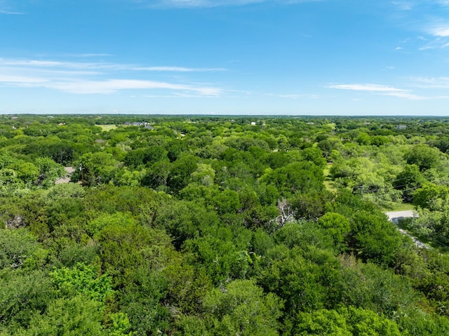 21070 Trailwood Dr, Whitney, TX 76692