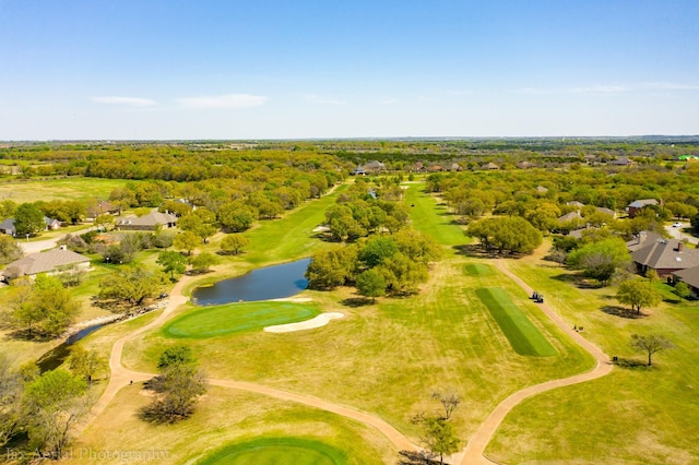21070 Trailwood Dr, Whitney, TX 76692