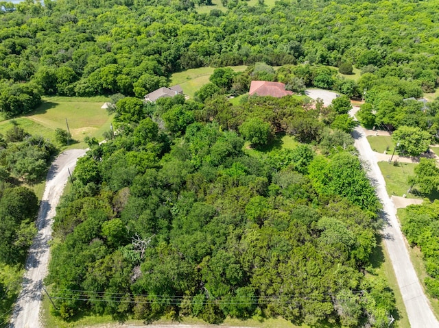 21070 Trailwood Dr, Whitney, TX 76692