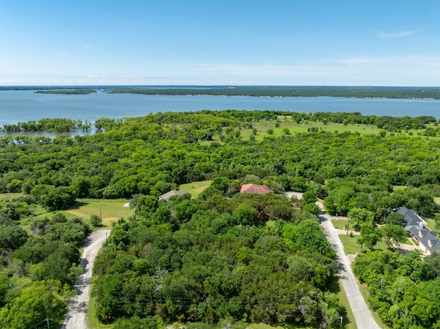 21070 Trailwood Dr, Whitney, TX 76692