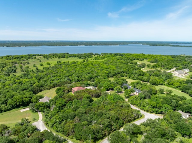 21070 Trailwood Dr, Whitney, TX 76692