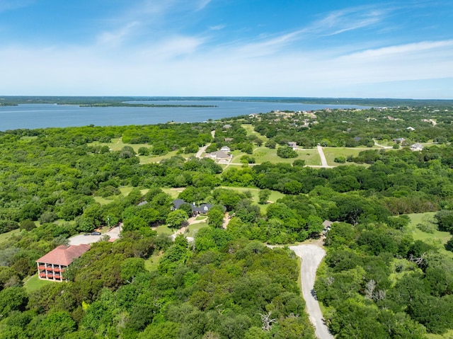 21070 Trailwood Dr, Whitney, TX 76692