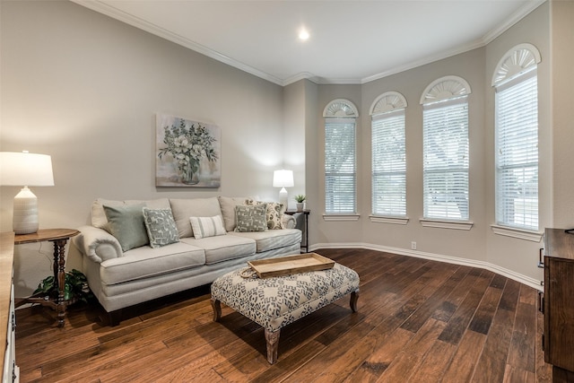 5924 Deerwood Ln, Frisco, TX 75036 - living area with dark wood-style floors, crown molding, and baseboards
