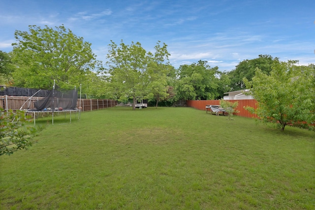 view of yard with a trampoline