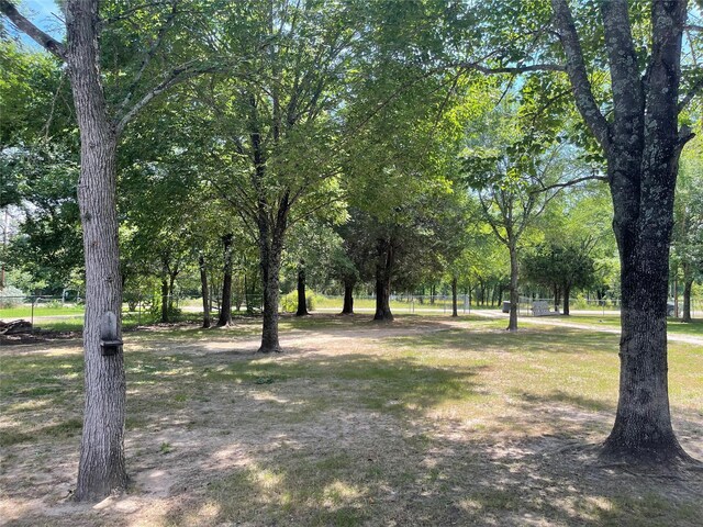 190 Fcr 192, Streetman, TX 75859 - view of yard