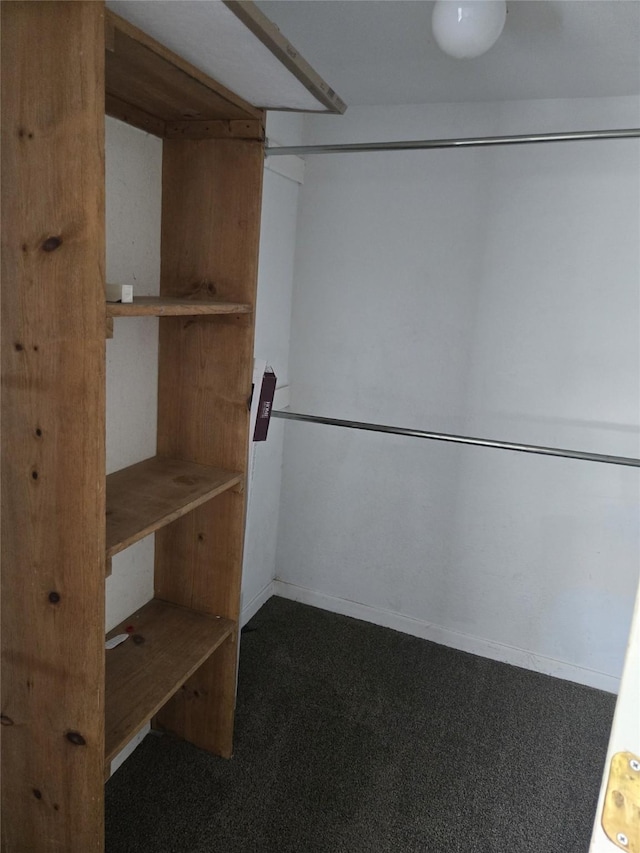 811 Vincent St, Brownwood, TX 76801 - walk in closet with carpet