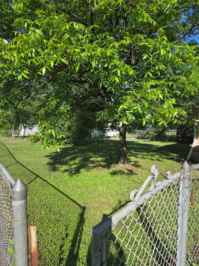811 Vincent St, Brownwood, TX 76801 - view of yard