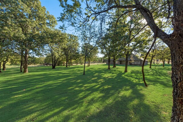 view of grassy yard