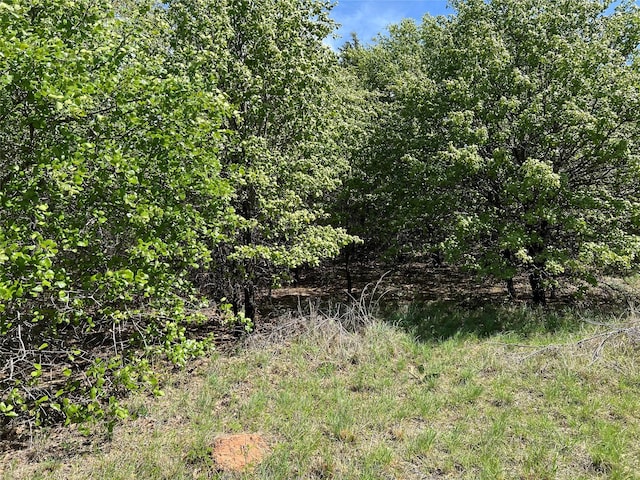 127 Rivercrest Dr, Nocona, TX 76255