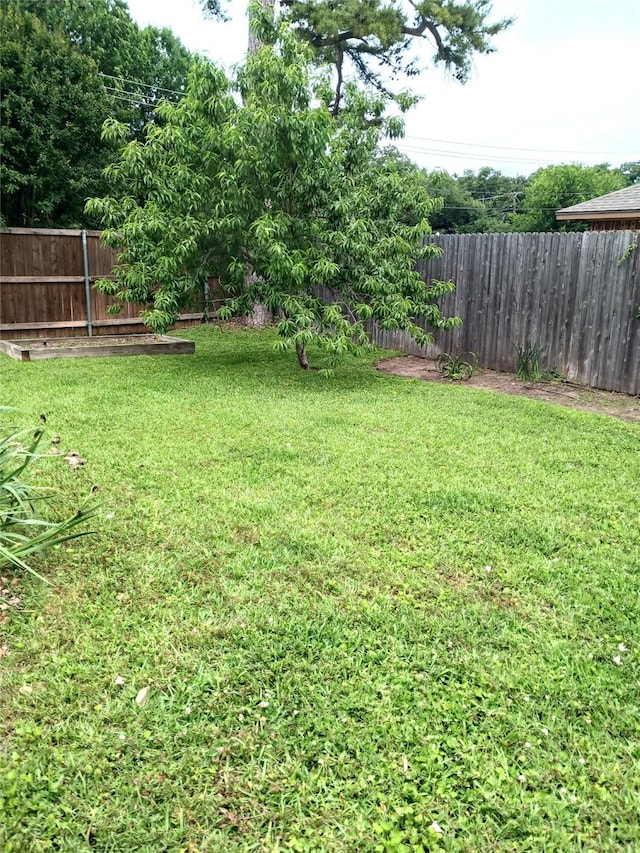 2435 St Gregory St, Arlington, TX 76013 - view of yard