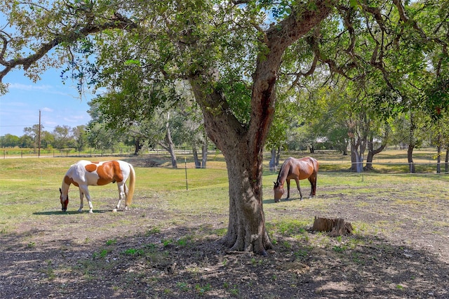 view of community with a rural view, an enclosed riding area, and fence