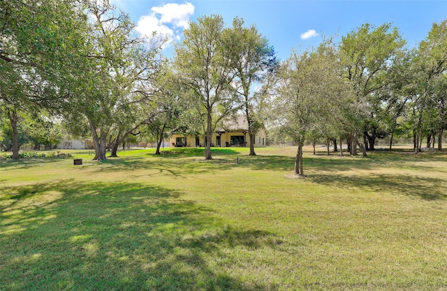 view of grassy yard