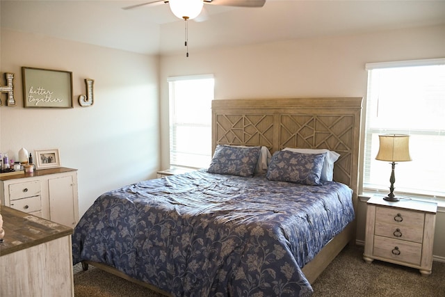 7121 Guadalupe Rd, Waco, TX 76633 - bedroom featuring dark carpet and ceiling fan