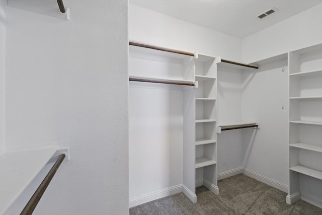 10825 Thorngrove Ct, Fort Worth, TX 76052 - walk in closet featuring carpet flooring