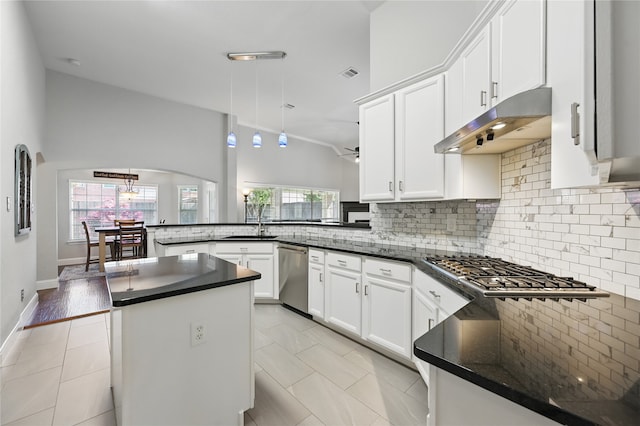 kitchen with under cabinet range hood, stainless steel appliances, decorative backsplash, and healthy amount of natural light