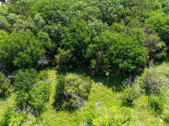 17149 Woodlawn Dr, Whitney, TX 76692