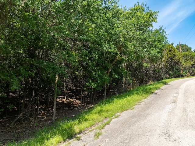 17149 Woodlawn Dr, Whitney, TX 76692