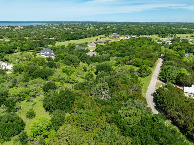 17149 Woodlawn Dr, Whitney, TX 76692