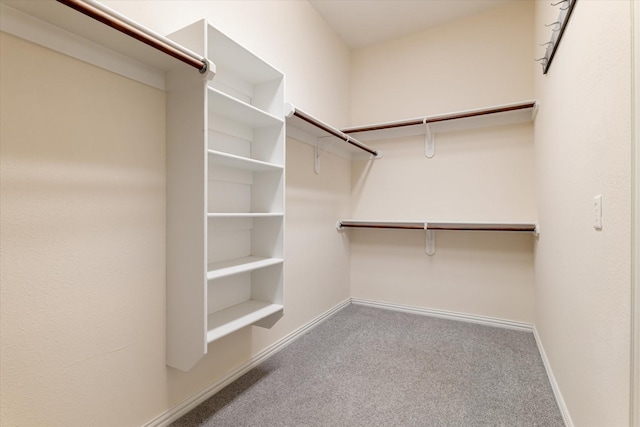 505 Osage Dr, Mckinney, TX 75071 - spacious closet with carpet floors