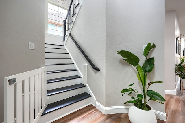 4533 Cheetah Trl, Frisco, TX 75034 - stairway with wood finished floors and baseboards