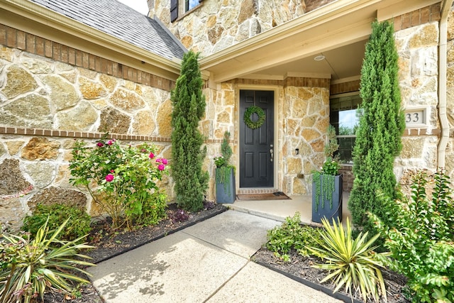 4533 Cheetah Trl, Frisco, TX 75034 - view of exterior entry featuring stone siding