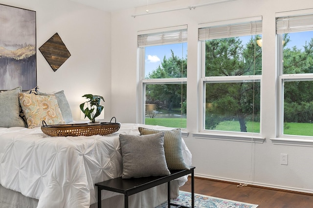 7735 Whirlwind Dr, Frisco, TX 75036 - bedroom with wood finished floors and multiple windows