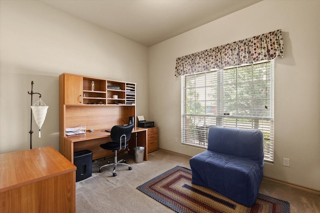 5139 Crystal Lake Ave, Krum, TX 76249 - office featuring light colored carpet