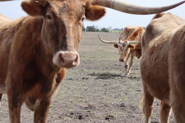 6827 County Road 1145, Celeste, TX 75423