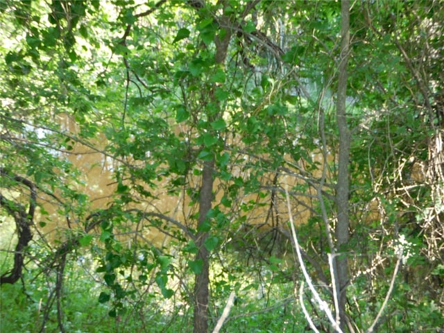 944 Fm 339, Mount Calm, TX 76673