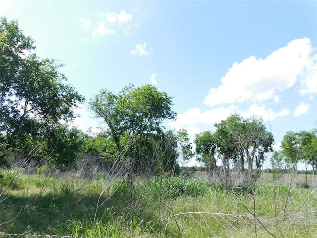 944 Fm 339, Mount Calm, TX 76673