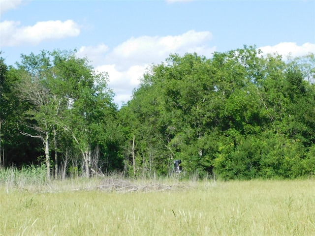 944 Fm 339, Mount Calm, TX 76673