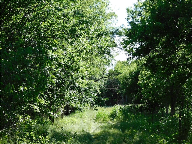 944 Fm 339, Mount Calm, TX 76673