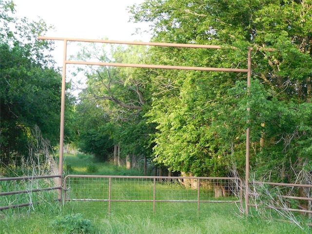 944 Fm 339, Mount Calm, TX 76673