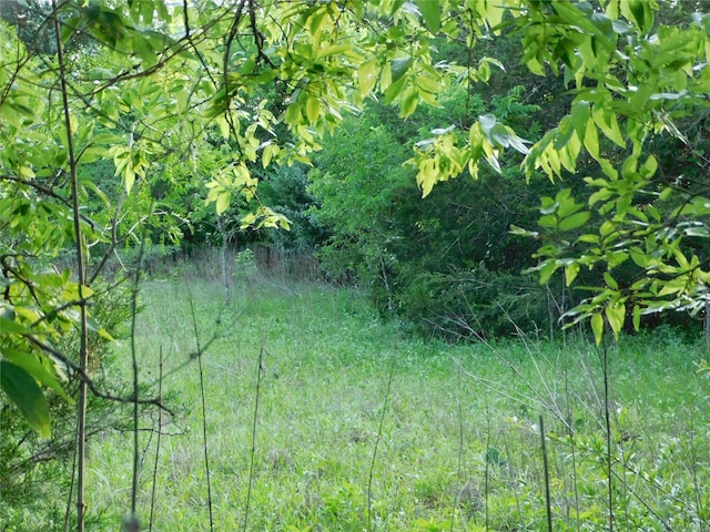 944 Fm 339, Mount Calm, TX 76673