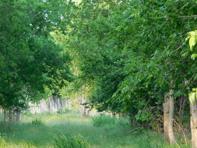 944 Fm 339, Mount Calm, TX 76673