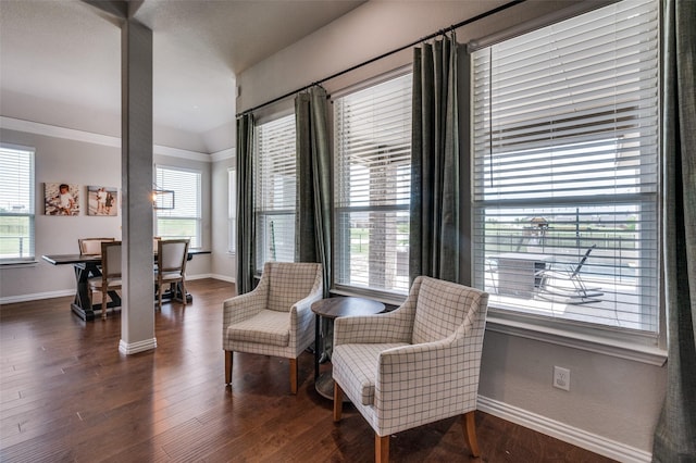 13400 Summer Moon Trl, Ponder, TX 76259 - sitting room with healthy amount of natural light, baseboards, and dark wood-type flooring