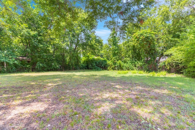 1315 E Pecan St, Gainesville, TX 76240 - view of yard