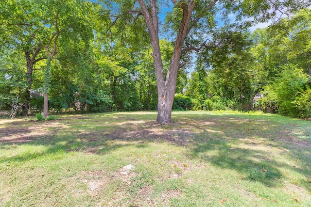 1315 E Pecan St, Gainesville, TX 76240 - view of green lawn