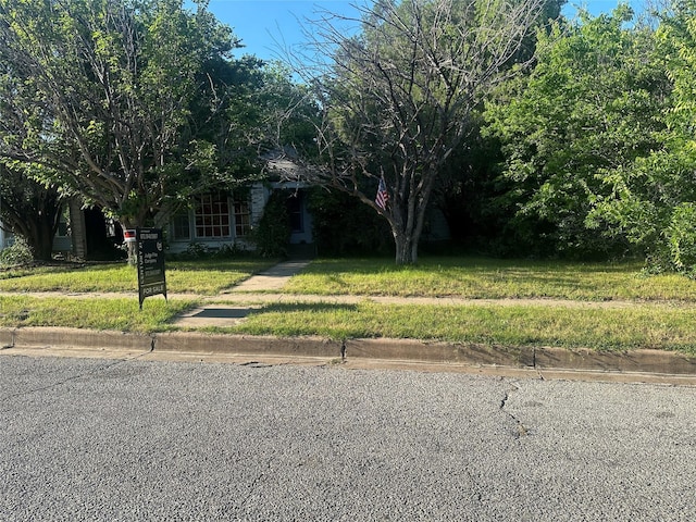view of property hidden behind natural elements featuring a front yard