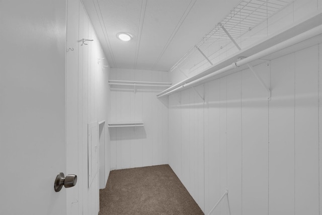 3355 La Mesa Dr, Weatherford, TX 76085 - spacious closet with carpet floors