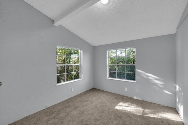 3355 La Mesa Dr, Weatherford, TX 76085 - carpeted spare room featuring healthy amount of natural light and a textured ceiling