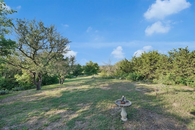 3355 La Mesa Dr, Weatherford, TX 76085 - view of grassy yard
