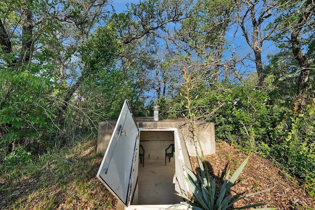 3355 La Mesa Dr, Weatherford, TX 76085 - entry to storm shelter