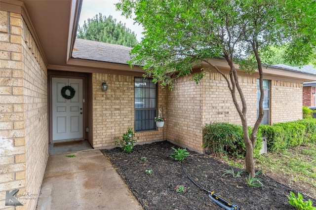 3526 Carnation Ct, Abilene, TX 79606 - property entrance featuring brick siding and a shingled roof