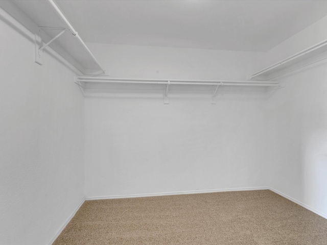 3236 Yeltes, Grand Prairie, TX 75054 - walk in closet featuring carpet flooring